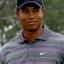 tiger woods