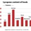 lycopene content on foods