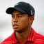 tiger woods