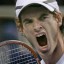 andy murray