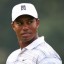 tiger woods