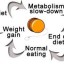 dieting by reducing calories in yo yo