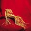 ginseng