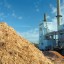biomass as fuel for energy production