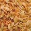 rice husks use as fuel