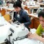 small and medium sized enterprises (smes)