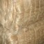 abaca fiber